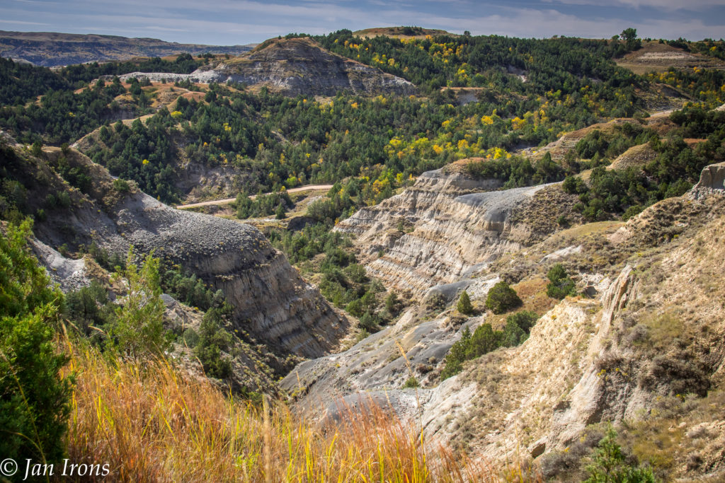 Theodore Roosevelt National Park - what a surprise - the canyons and wildlife were worth waiting for! 