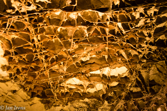 Boxwork is made of thin blades of calcite that project from cave walls and ceilings, forming a honeycomb pattern. The fins intersect one another at various angles, forming "boxes" on all cave surfaces. Boxwork is largely confined to dolomite layers in the middle and lower levels of Wind Cave.