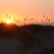 Toes in the Sand!  Oregon Inlet Campground