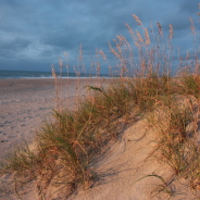 Ocracoke My “Crabby” Campsite