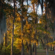 Florence Marina State Park, Lumpkin, GA