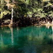 Manatee Springs State Park … So Where Are the Manatees?