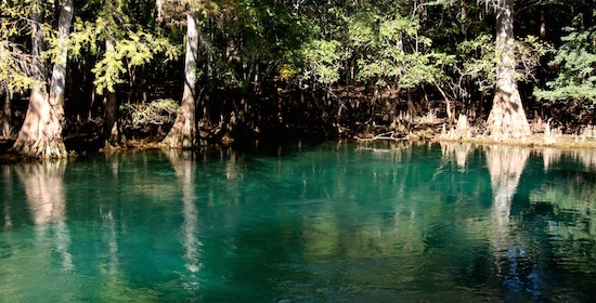 Manatee Springs State Park … So Where Are the Manatees?
