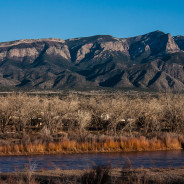 Overlooking the Rio Grande:  Coronado Campground