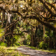 Shake Down “Cruise” – Myakka River State Park