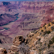 5% Club!  Grand Canyon National Park