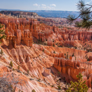 Helluva Place to Lose a Cow!  Bryce Canyon National Park