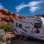 Local Knowledge: Snow Canyon State Park, UT