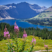 Despite Wildfires:  Glacier National Park Overview