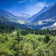 Endurance Geezerheiken’:  Piegan Pass to Many Glacier