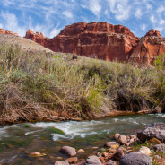 Top 10 Experiences at Capitol Reef National Park