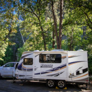 Custer State Park Campground:  South Dakota