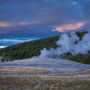 Yellowstone in One Day