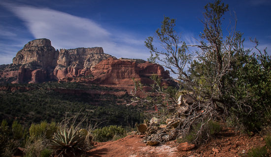 No Plans to Stop In Sedona?
